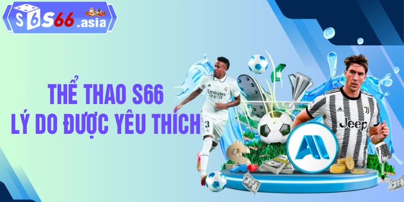 Những ưu điểm và lý do thể thao S66 được người chơi yêu thích