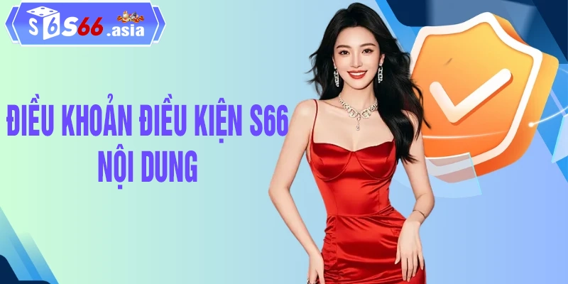 Nội dung quy định chi tiết trong điều khoản điều kiện S66