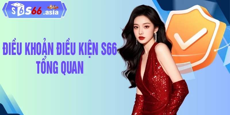 Tổng quan về điều khoản điều kiện áp dụng S66